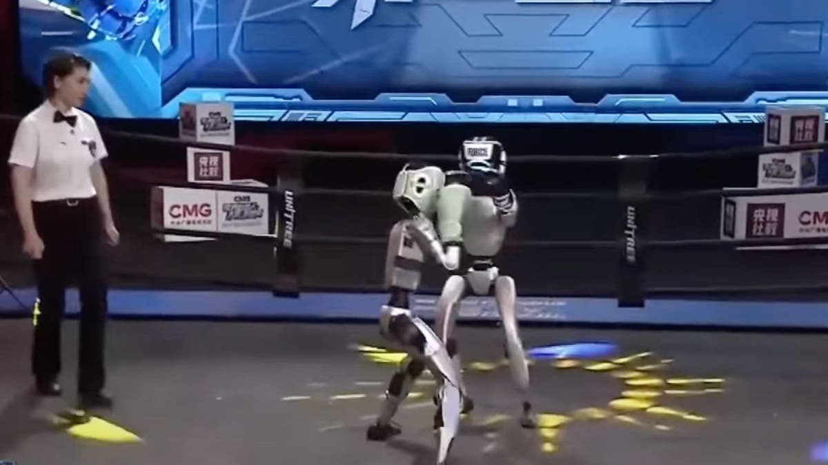 Robot Boxing 2