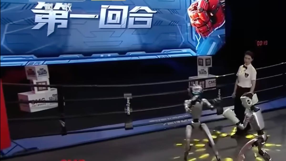 Robot Boxing 3