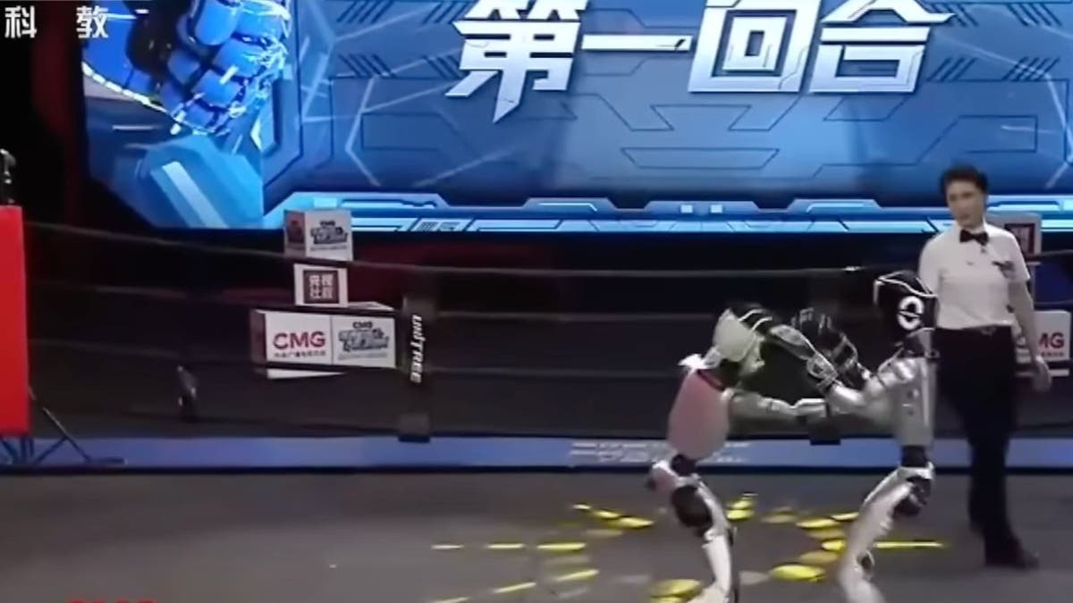 Robot Boxing 5