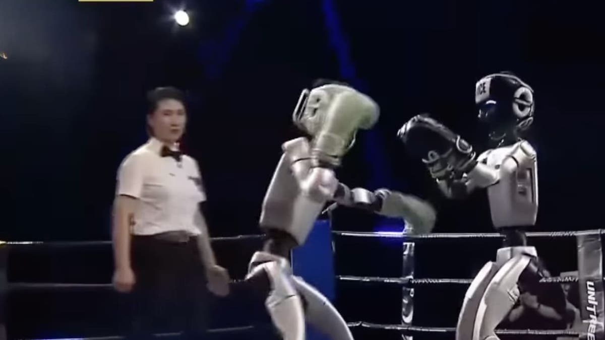 Robot Boxing 4