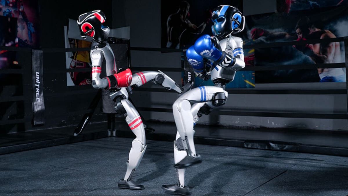Robot Boxing 6