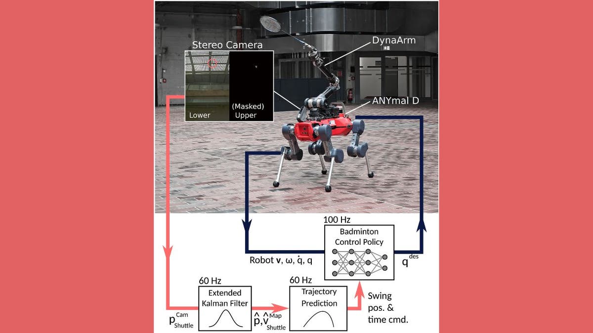 Badminton Robot 3